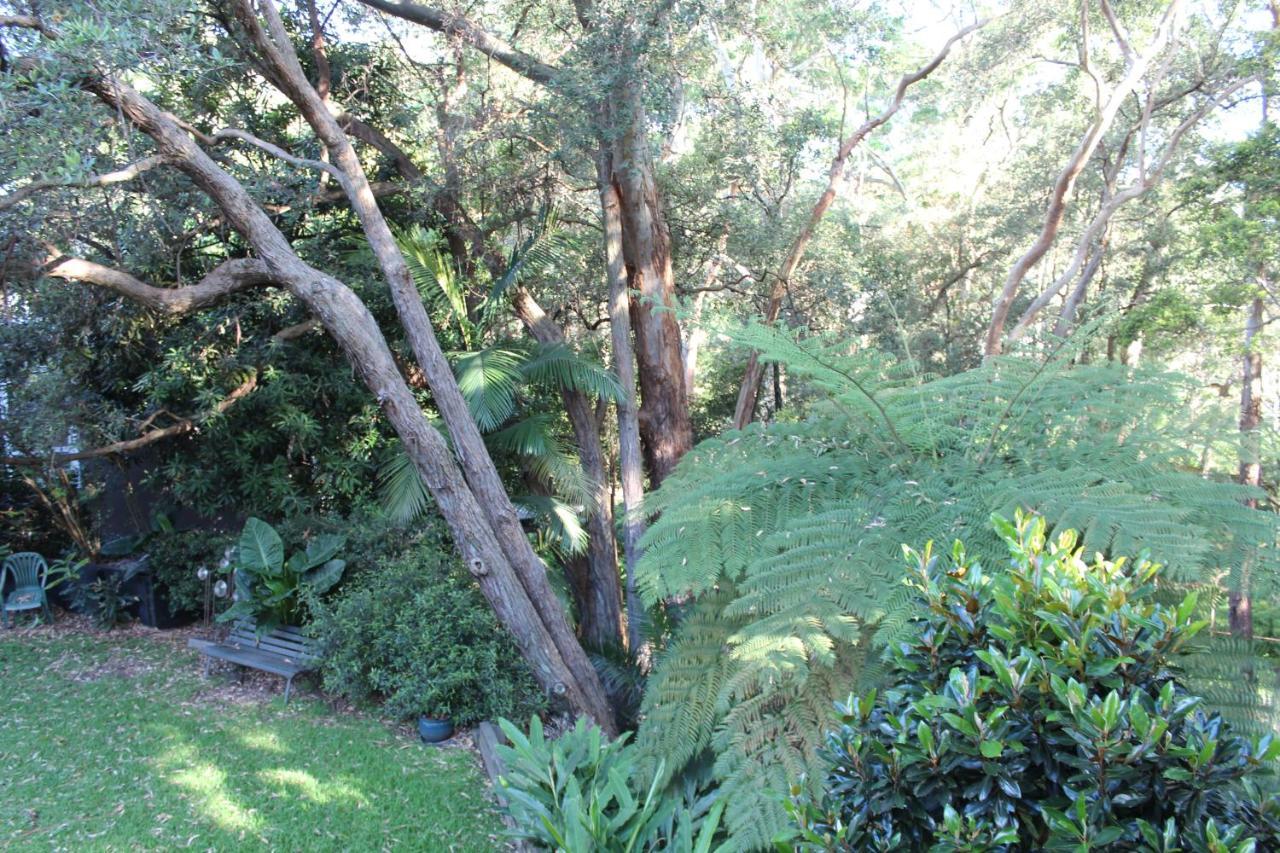 Bushland Setting Close To Sydney Cbd- Stand Alone Apartment Esterno foto